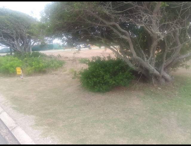 LAND FOR SALE IN BOGGOMS BAY